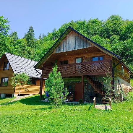 Під Горою Villa Sheshory Dış mekan fotoğraf
