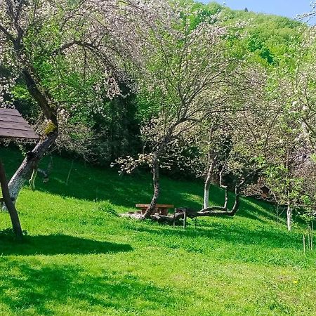 Під Горою Villa Sheshory Dış mekan fotoğraf