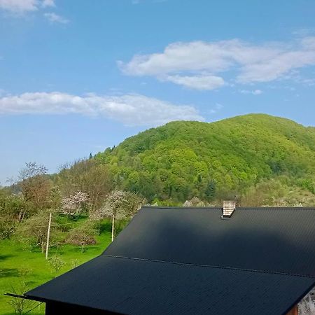 Під Горою Villa Sheshory Dış mekan fotoğraf