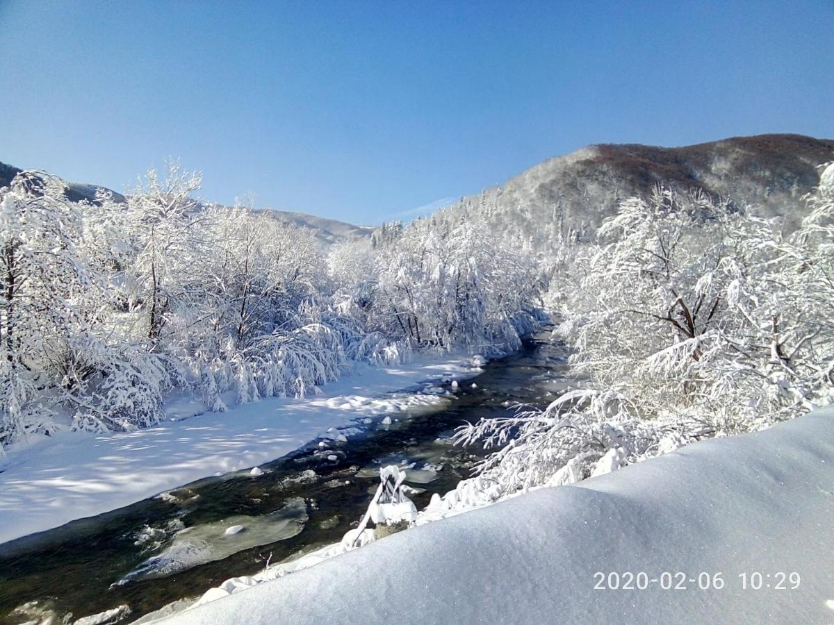 Під Горою Villa Sheshory Dış mekan fotoğraf