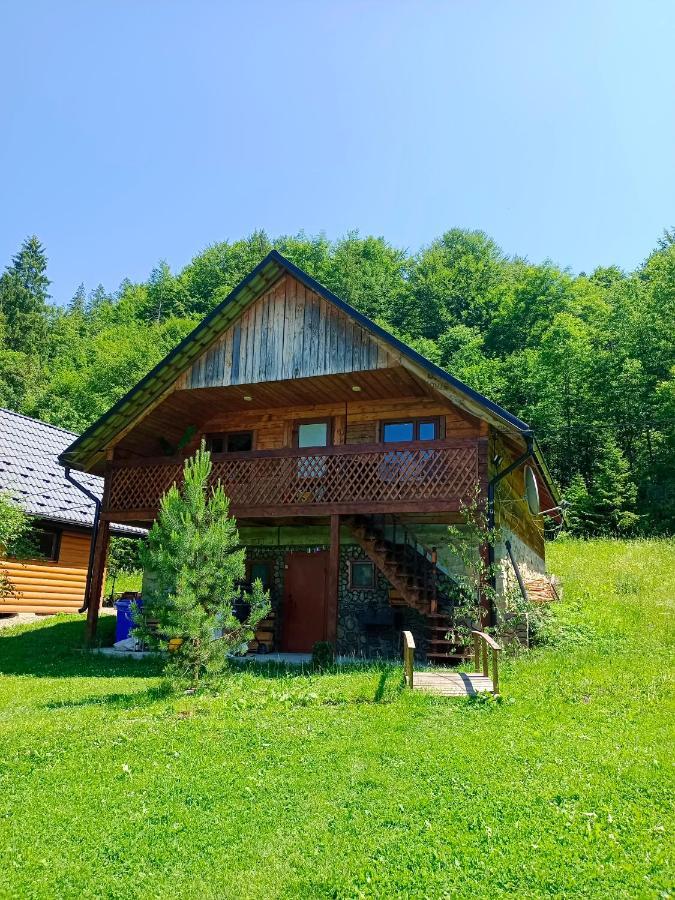 Під Горою Villa Sheshory Dış mekan fotoğraf