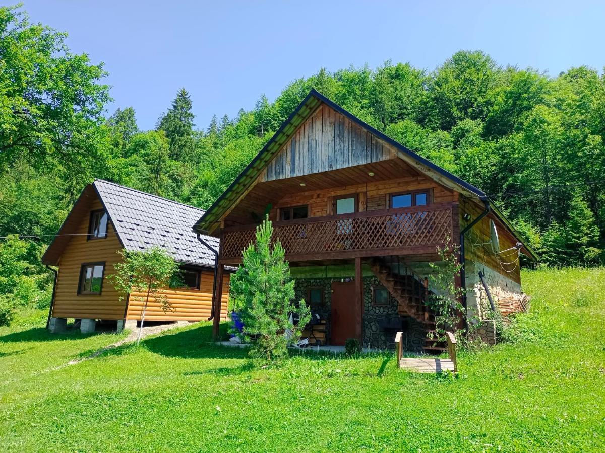Під Горою Villa Sheshory Dış mekan fotoğraf