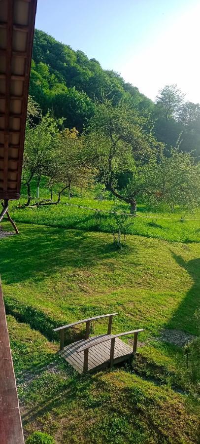 Під Горою Villa Sheshory Dış mekan fotoğraf