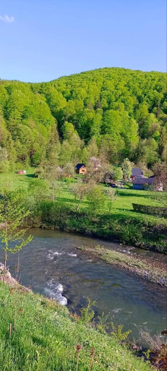 Під Горою Villa Sheshory Dış mekan fotoğraf