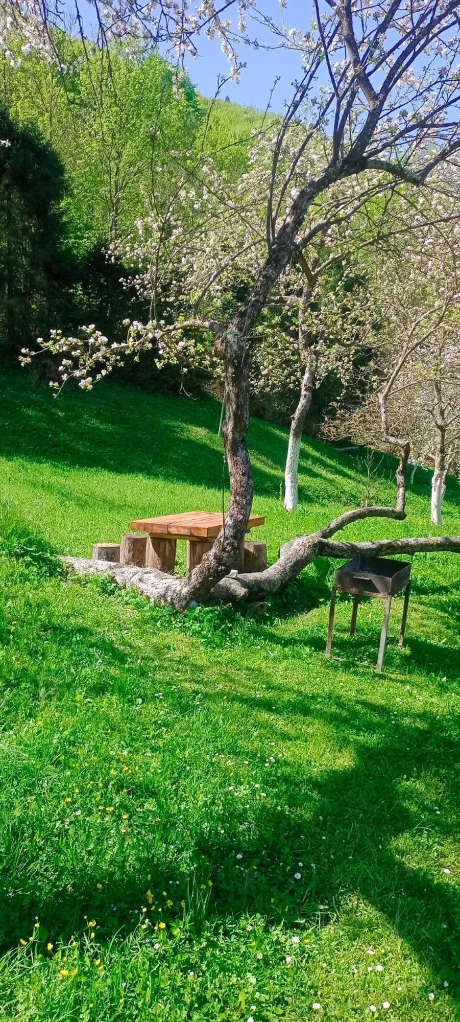 Під Горою Villa Sheshory Dış mekan fotoğraf