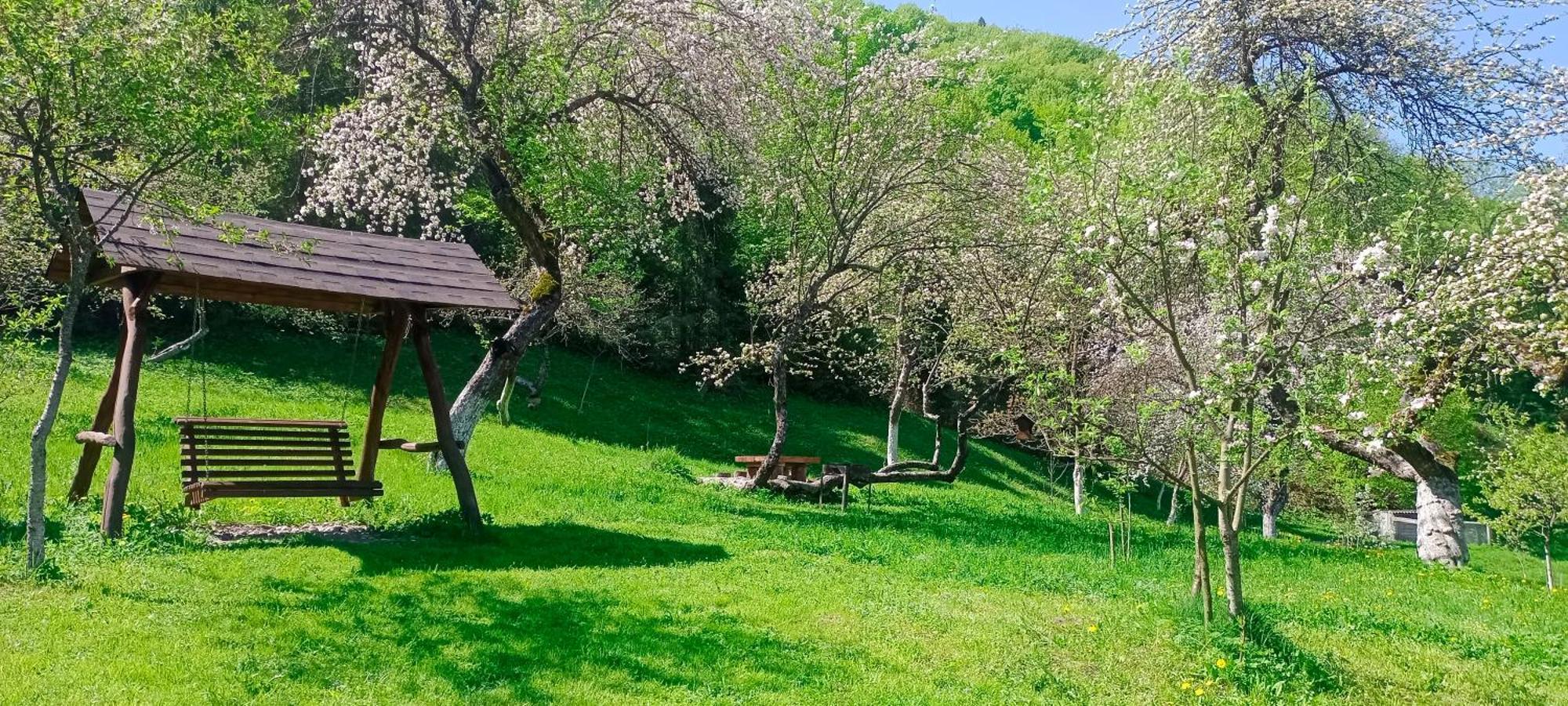 Під Горою Villa Sheshory Dış mekan fotoğraf