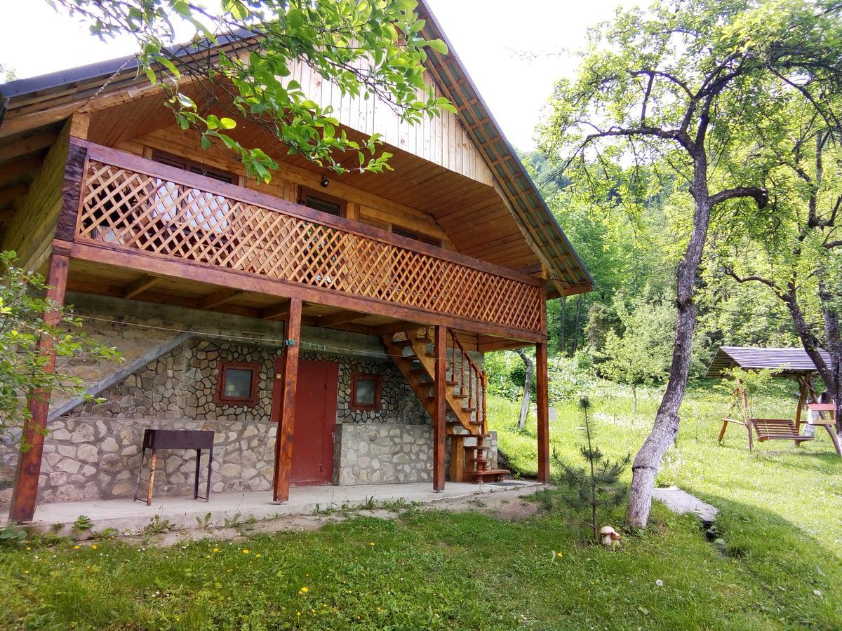Під Горою Villa Sheshory Dış mekan fotoğraf